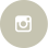 Instagram Icon Footer