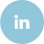 LinkedIn Icon Footer